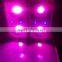 Garden suppliers hydroponic COB UV 300W Zeus LED grow light