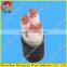 3+1core copper conductor xlpe insulated pvc sheath armored power cable