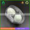 Clear plastic eggs boxes 2 loose pack