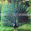 Indian Pillow Case Digitalprint Dancing Peacock Cushion Cover