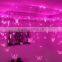 Christmas lights 2016 warm white string curtain light for party and wedding decoration