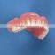 Nobiltone Self-Cured Denture Base Powder