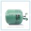 Portable helium balloon cylinder with helium gas