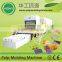 HGHY paper cup holder machine molded fiber packaging production line