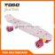 2015 New Design Plastic Skateboard Fish Skate Board