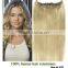 Hot Sale Pretty Gold 30 inch human hair extensions clip in human hair clip in hair