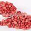 Supply with Chinese Raw Red Skin Peanut Kernels Without Shell For Sales