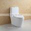 Floor Installed Type Dual Flush Siphon Toilet