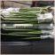 50cm lotus tiger lucky bamboo dracaena sanderiana indoor ornamental aquatic feng shui plants nursery garden decoration