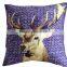 Print Newspaper Squirrel Cushion Covers