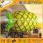 customized balloon giant inflatable shark helium gas balloon F2024
