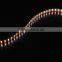 High Quality RGBWW With 600Leds Double Row 5050 rgbw led strip