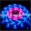 IP68 SMD5050/SMD3528 RGB 12v fashion led strip lightfor hotel/bar/reception decoration