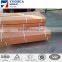 security anti wall climb spike / barbed wire razor wire mesh wall spike