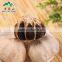 Losing Weight Aged Garlic Bulb Cloves Spawn