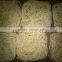 EGG NOODLE Noodle from china Egg noodle 300g 400g 500g