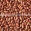chinese hot selling split blanched peanut kernel