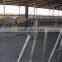 Farm Cow Headlock with 3 mm Thickness Hot-galvanized Steel Pipe