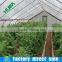 Used hidroponica greenhouse frames tunnels for sale
