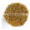 NEW DESIGN - LARGE Palm Wax, Upholstery &/or Stencil Boar Hair Bristle Brush.
