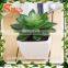Wholesale Handmade Succulent Artificial Small Potted Plant
