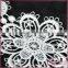 Flower embroidery chemical lace, white embroidered lace trimming for dress