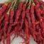 Xian Chilli