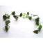 1.54M Grape vines + 5PCS Grape