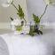 Customized Hotel Supplies White Jacquard Cotton Embroidery Bath Towels Manufacture
