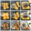 Wholesale 0-3-6-12 Month Sport Children White Cheap Baby Knitted Shoes
