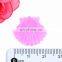 wholesale hot sales colors shell small size mini plastic hair claw clip