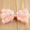 15 Colors Baby Girl's Rose Flower Chiffon Bowknot Hair Bows Headbands Jewelry Findings Diy