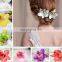 Wholesale moth orchid hair clip,colorful flower chiffon fabric hairpin,holiday hair accessory clip