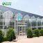 SHINEHWA Agricultural/Commercial Glass Greenhouse Glasshouse For Vegetable