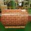China sell PPGI iron roll DX51D Z40 cold rolled steel coil painted steel coil