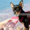 Pb+ Water Bottle 350ML 550ML Portable Pet Dog Travel Bottle Water Bottle Cat Drinking Dispenser Feeder for Puppy