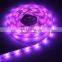 Relight Amazon hot sales magic digital dream color 5050 rgb led strip