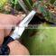 Stainless Steel Coconut Opener