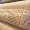 Open Structure Rattan Cane Webbing various size with Reasonable Price and Top Rank Quality for decoration from Viet Nam