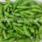 Wholesale IQF Green Soy Beans