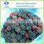Wholesale IQF Berries/ Raspberry/ Blueberry/