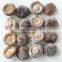 BRC Certified IQF Frozen Shiitake mushroom whole