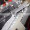 Fully Automatic Suppository Machine/Suppository Filling and Sealing Equipment