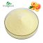 Wholesale Export New Batch Price Freeze Dried Pure Peach Concentrate Juice Powder
