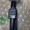 B73G-3AK-QD1-RMN, Norgren, Régulateur de filtre, 3/8' filetage PTF
