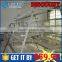  website chick products cage for laying hens