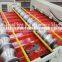 Double Layer Roofing Steel Tile Forming Machinery