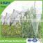 HDPE virgin material anti hail protection net with uv for agricultural leader manufacturer (china)