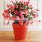 Colorful Garden Flower Pot
