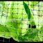 Stretched Plastic Fruit | Tree Protect Antibird Nets